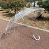 16-Rib High-End Transparent Umbrella, Straight Long Handle, Colored, Ideal for Advertising or Gift, Internet Celebrity Style.