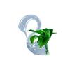 Creative Home Swan Transparent Vase Lucky Pure Grace Decoration Valentine's Day Ornament