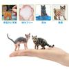 EYSCOTA CAT Animal Figure Plastic Animal Set for Kids Set, 12-Piece