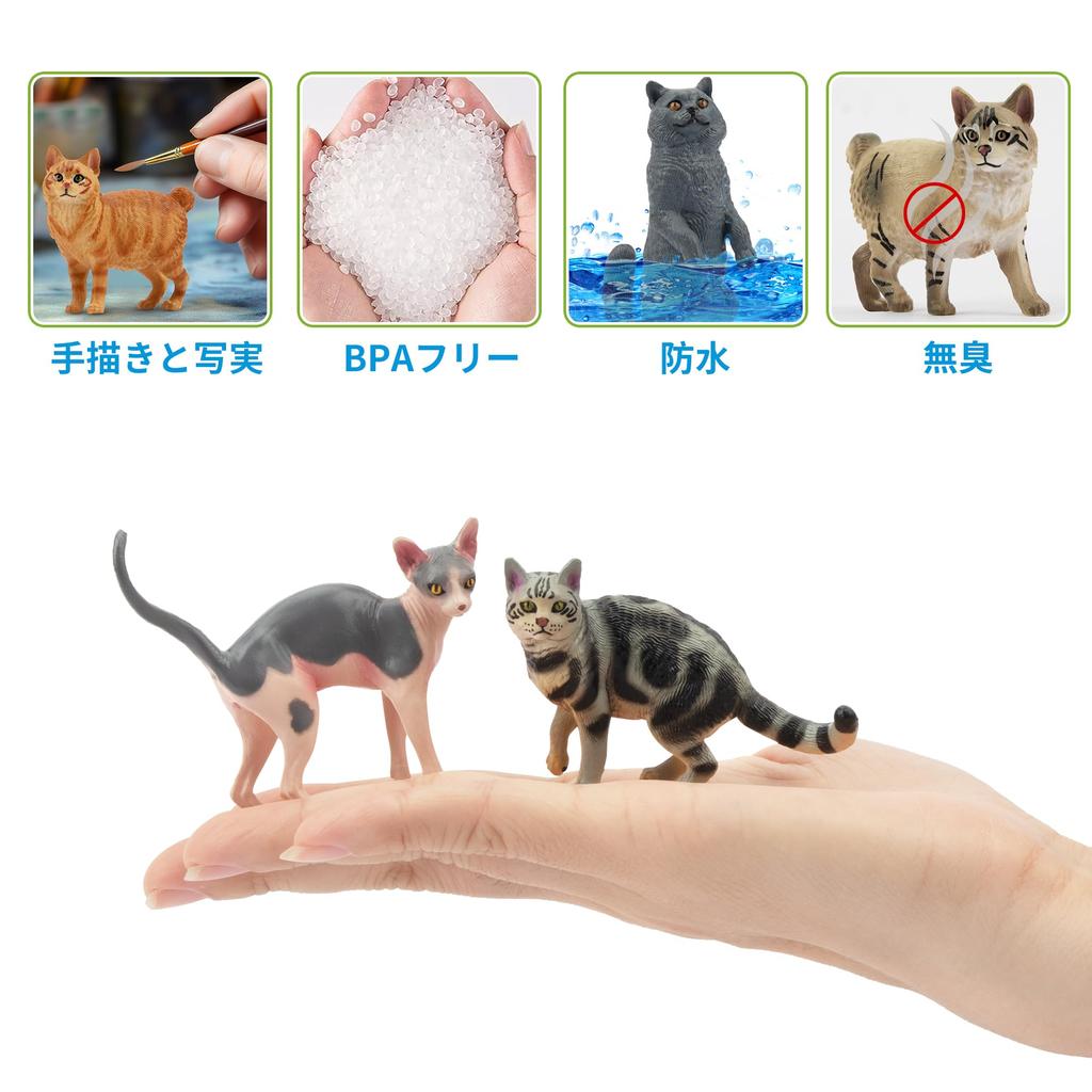 EYSCOTA CAT Animal Figure Plastic Animal Set for Kids Set, 12-Piece