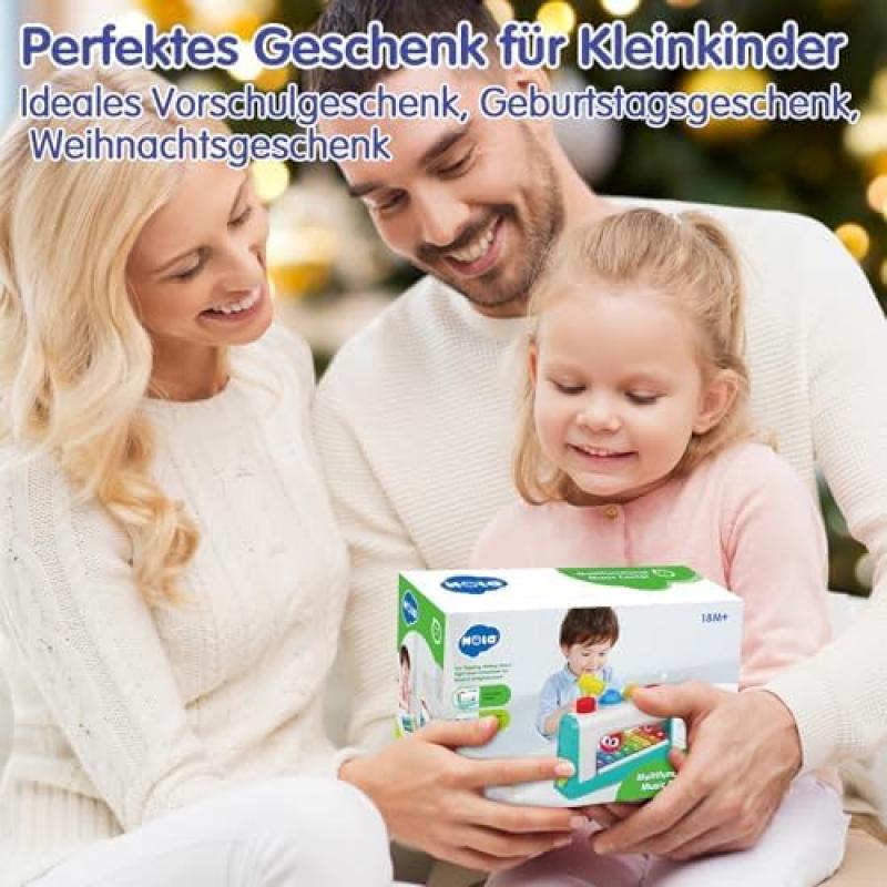 HOLA Toddler Toys 1+ Years, Hammering Xylophone Musical Toy for Boys Girls, 12+ Months Baby Gift, Montessori Educational Toy