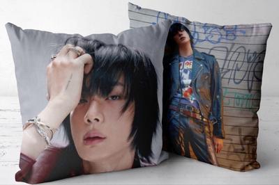 [USED] BTS Cushion Cover ECHO Seokjin JIN