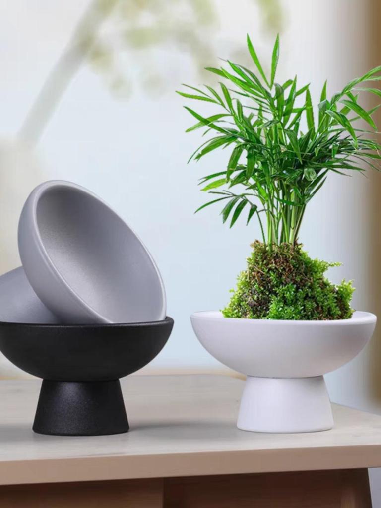 Modern Ceramic Tea Snack Plate with Fern Hydroponic Plant Holder