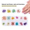 12 Colors Natural Dried Flower for Acrylic UV Gel Nail Art Tips Design Case DIY Decor A