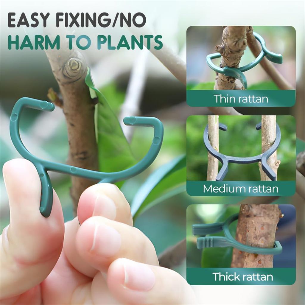 200 STÜCKE Wiederverwendbare Grüne Garten Pflanzen Fixierclips Für Gewächshaus Gemüse Blumen Stiel Ranken Traubenklammer Stütze Befestigungselemente Werkzeuge