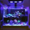30W/40W Touch Control Aquarium Light Full Spectrum LED Saltwater Lighting System Coral Reef Fish Tank Lamp