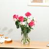 Blooming Flower Bucket Acrylic Vase for Fresh Flowers - Large French Design with Deep Water Capacity for Florists
