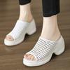 High-top Shoes, One-piece Style, New Platform Slippers, Casual Sandals for Women