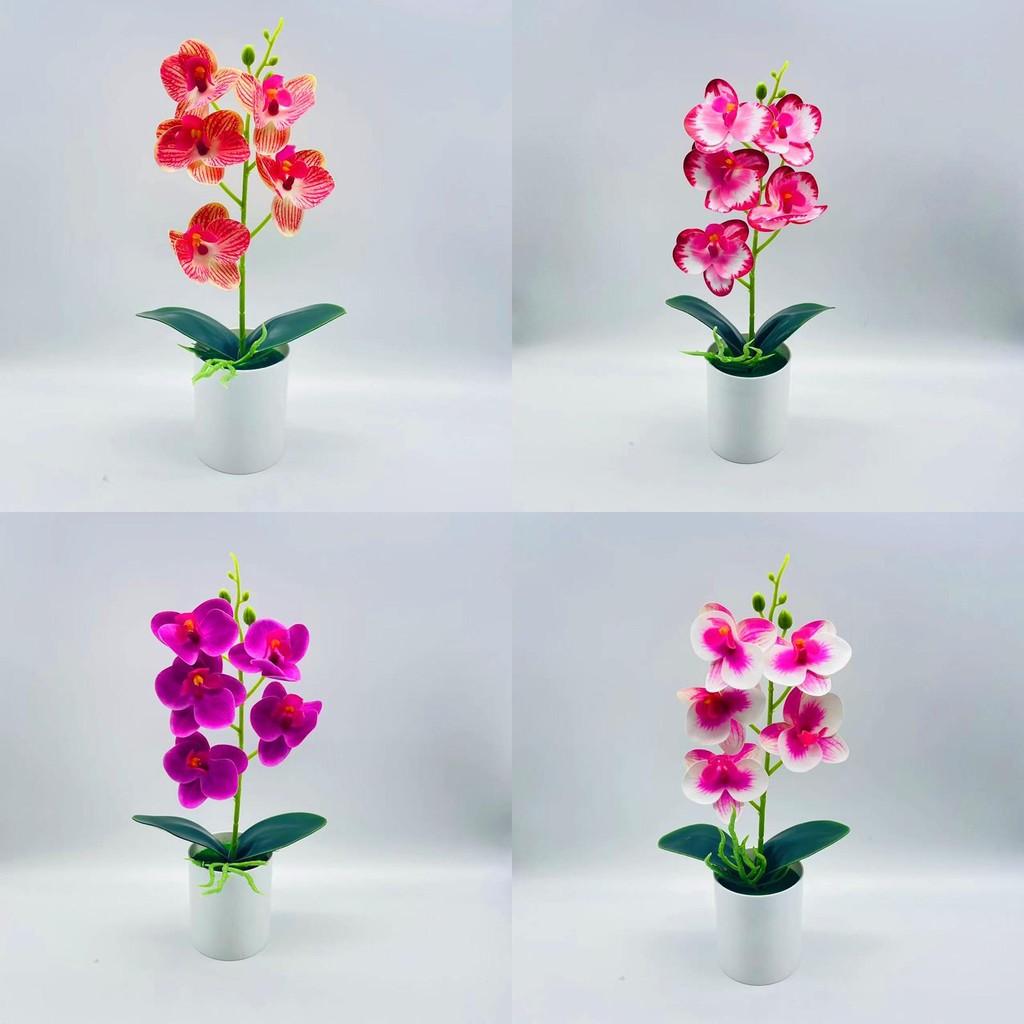 Artificial Phalaenopsis Aphrodite Potted Plant With Creative Design Bedroom For