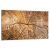 Glass Hob Protector 80x52 Wood