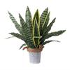 Kreative Grüne Künstliche Schlangenpflanze Foto Requisiten Weiches PVC Simulation Gras Handwerk Orchideen Gras Geschenk