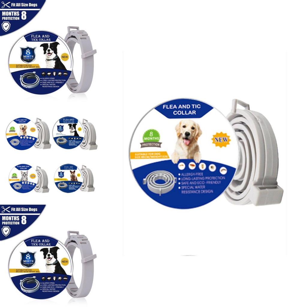 Keep Your Pets Safe With A High-quality Anti-flea Dog Collar