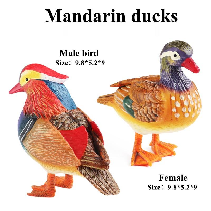 Oenux Simulation Cute Poultry Farm Animals Model Mandarin Duck Goose Swan Hen  Action Figures PVC Miniature Toy Gift For Kids