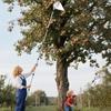 Instrumente de grădinărit – Dispozitive pentru cules fructe