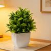 4 Stück Mini künstliche grüne Topfpflanzen, kleine Fake-Pflanzen mit Topf für Zuhause, Büro, Indoor, Tisch, Regal, Bauernhaus, Badezimmer Dekoration
