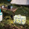 Checkered Picnic Bag Large Capacity Portable Ice Pack Bag Cold Protection Lunch Box Insulation Bag Waterproof for Camping Picnic