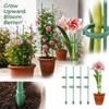 Climbing Plant Support Pole for Indoor and Outdoor Garden Vines