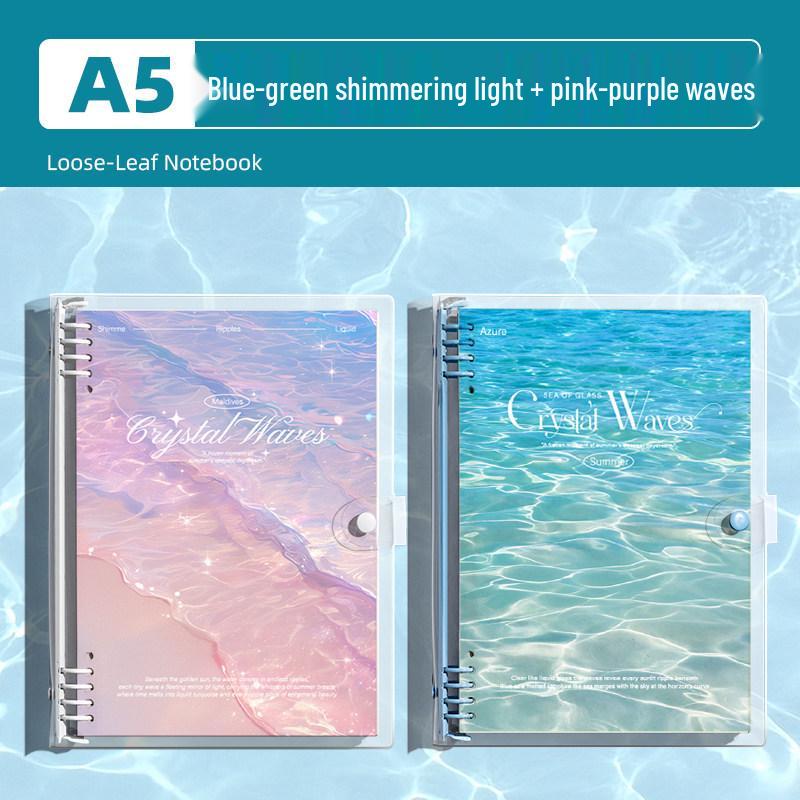 Detachable Transparent Leather Binder with 5 Notebooks for High School Students - 2026 Edition