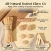 Parrot Chew Stick Natural Wood-Bird Toy with Edible Snack for Small Parrots Cage Decoration Stress Relief