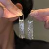 New Trendy 111 Silver Needle Long G-shaped Fringed Stud Earrings Women's Niche Design High-end Earrings Temperament Versatile Earrings