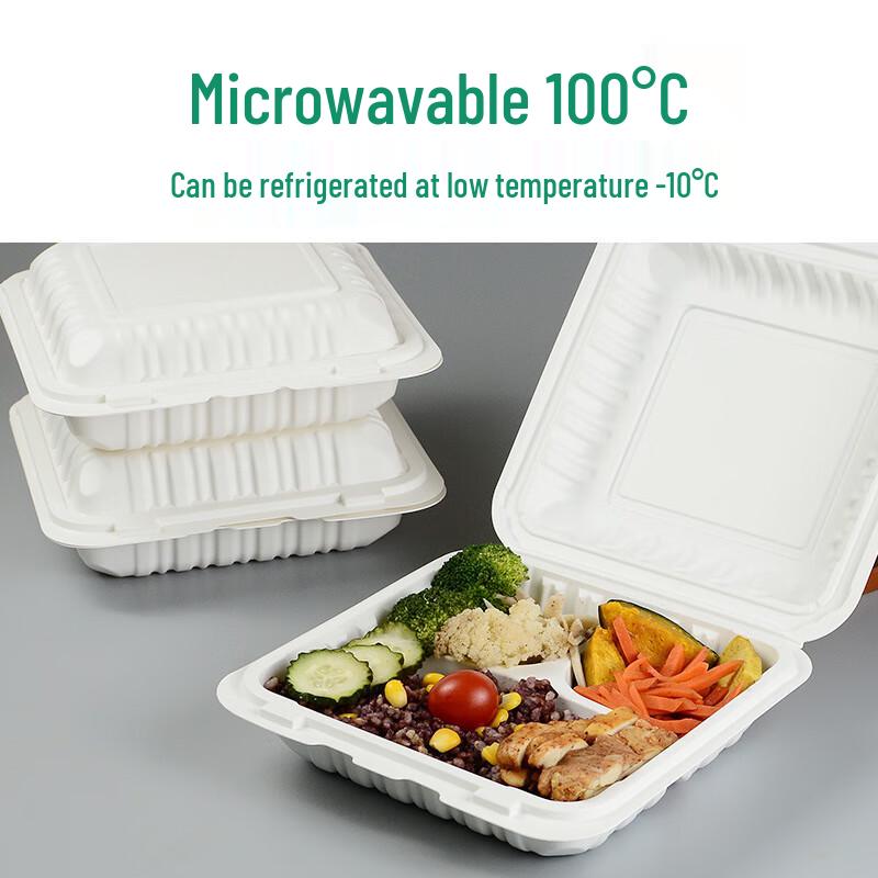 Compostable Compartmented Lunch Box