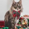Fashion Safety Buckle Adjustable Pet Bowknot Christmas Dog Bows Cat Kitten Collar Dog Bell
