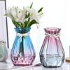European-Style Hydroponic Pothos Vase with Dried Flowers for Living Room Decor