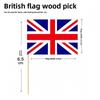 Multinational Flag Toothpick Food Decor Pack For Fruit Garnishes And Cocktails