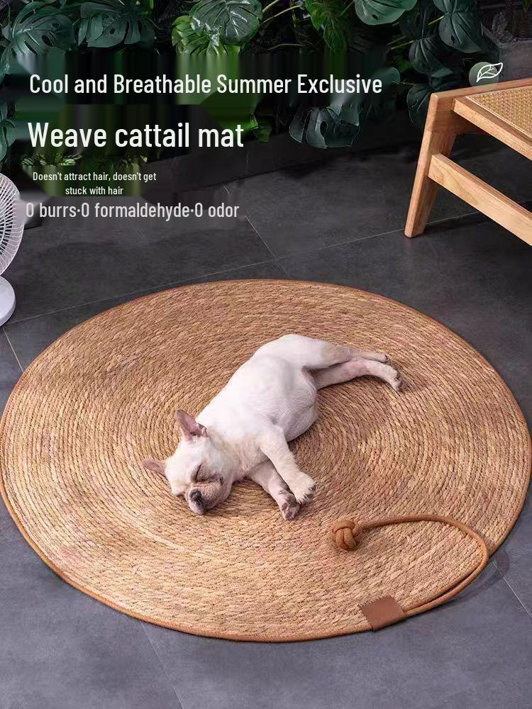 Durable Cat Scratching Post with Cattail, No Shedding, Includes Scratching Bowl, Cat Bed, and Woven Sleeping Mat