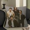 Vintage A-Arctic M-Monkeys Rock Band Pillow Cover For Bedroom Room And Living Room Sofa Decorative Cushion Cover