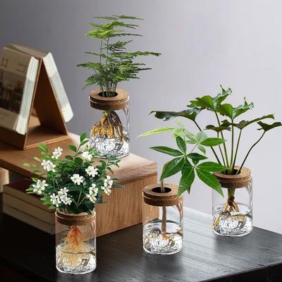 1pc Hydroponic Plant Vase With Wood Lid For Indoor Hydroponic Gardens Transparent Seedling Pot Gardening Accessories