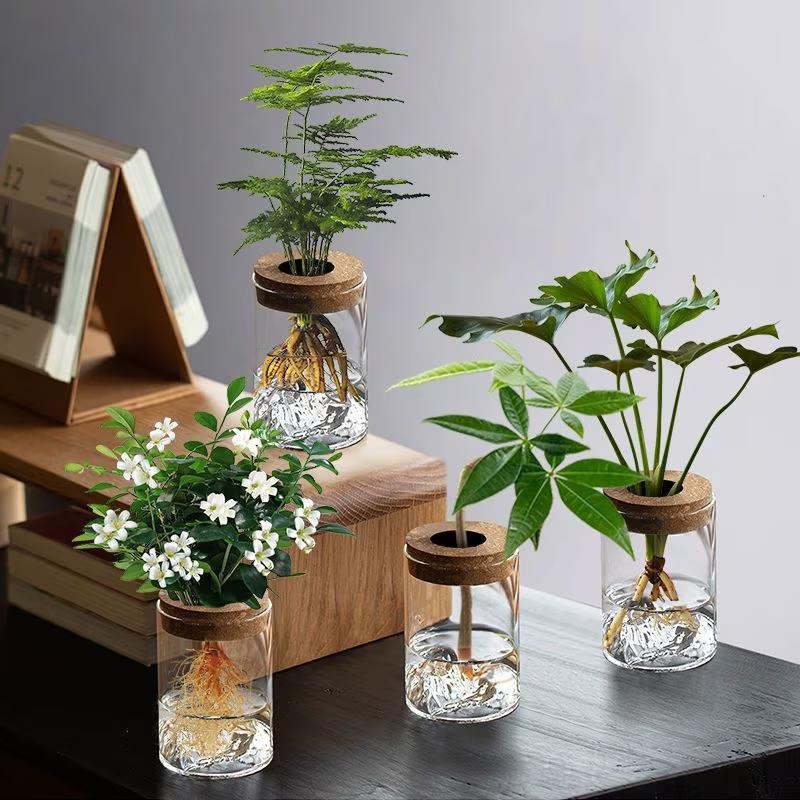 1pc Hydroponic Plant Vase With Wood Lid For Indoor Hydroponic Gardens Transparent Seedling Pot Gardening Accessories
