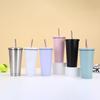 Portable Insulated Straw Mug