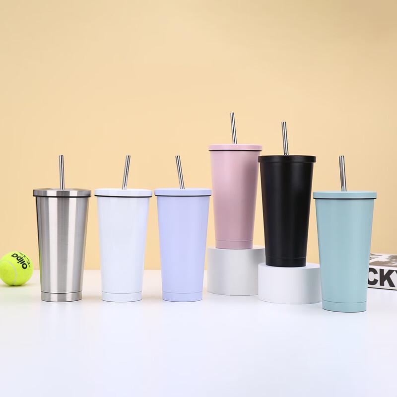 Portable Insulated Straw Mug