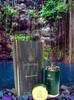 Maison-Alhambra Sceptre Malachite Eau de Parfum Unisex nicht spezifiziert