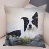 Printed Pet Animal Cushion Cover Scotland Border Collie Soft Plush Pillowcase Decor Cute Dog Pillow Case for Sofa Car
