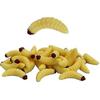 Set Of 50 Soft Plastic Lures For Bass Fishing - J