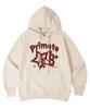 [Fleece-Lined/Non-Fleece-Lined] Web Oversized Hoodie 10 Colors (Type A)