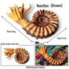 Ancient Marine Life Model: Trilobite, Eurypterid, Pikaia, Sea Scorpion, Nautilus Toy