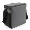 Titan Deep Freeze Cooler 16 Limited Compact Box, 8L, Cans, Gray, Edition,