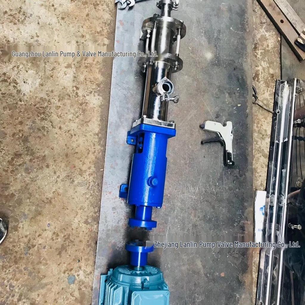 304 Stainless Steel Sanitary Sludge Pump G25-1, Corrosion-Resistant Screw Pump G30-1