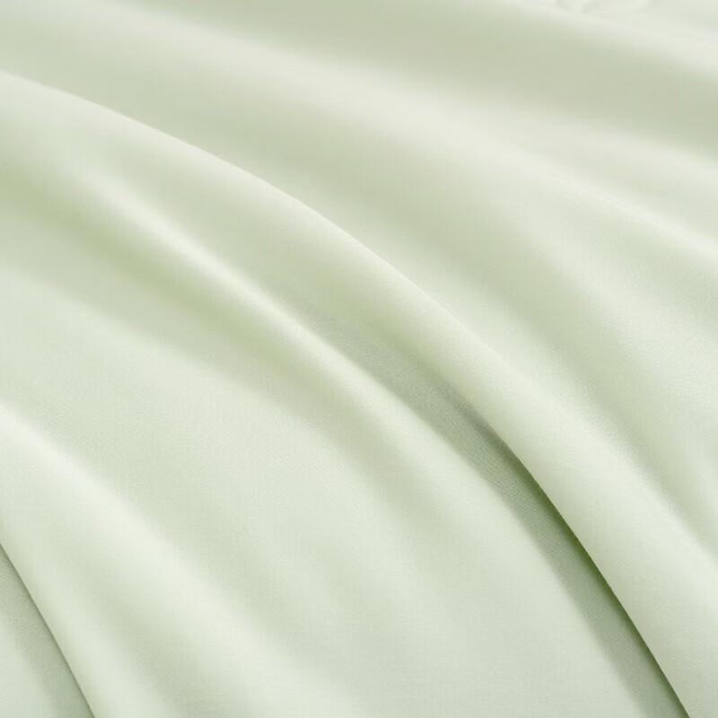 Mercury Home Textiles Zhixia Long-Staple Cotton Antibacterial Quilt