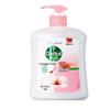 Dettol Healthy Moisturizing Antibacterial Hand Wash