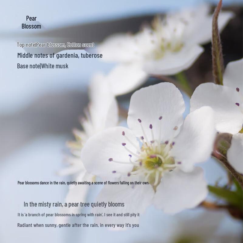 Tesori D'oriente Water Lily & Repair Travel Set