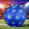 1 Bola de Futebol Tamanho 5 Bandeira da Argentina, Adequada para Jogos de Treino/Treinamento de Torneio, Leve e Durável logo70713