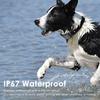 Wasserdichter 4G SIM GPS-Locator Lange Standbyzeit Anti-Verlust-Tracker Halsband Echtzeit-Ortung für Hunde