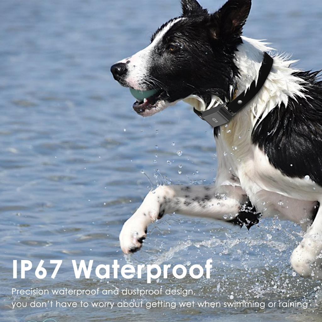 Wasserdichter 4G SIM GPS-Locator Lange Standbyzeit Anti-Verlust-Tracker Halsband Echtzeit-Ortung für Hunde