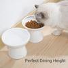 2 Elevated Ceramic Cat Bowls Extra Wide for Food Water Whisker Fatigue Shallow Food Dish Lead CadmiumFree Raised Height for Cat