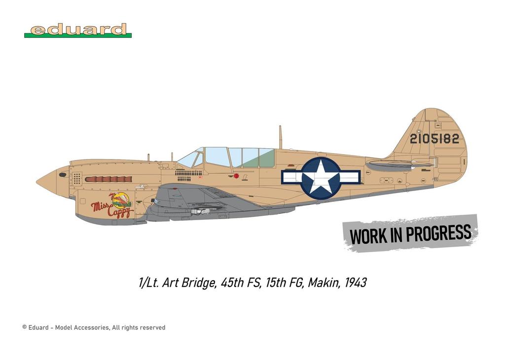 Eduard Dual Combo Royal Class Warhawk Plastic Model Kit EDUR0025 1/48 P-40N (Airplane)