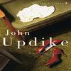Couples by John Updike Paperback Book 9780141188980
